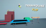 Trampoline Flip img